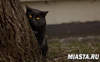 Сегодня зловещий день - пятница 13-е