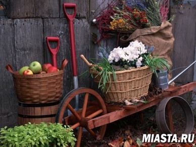 В Тюмени открывается «Школа садовода»