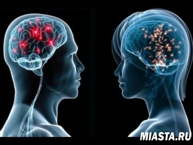 Ученые развеяли миф о "мужском" и "женском" мозге