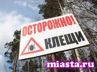 Акарицидная обработка не помогла, в Тюменской области опять активизировались клещи