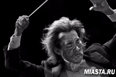 33  ругательства: какие фразы используют творческие люди?