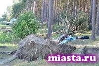 Дело о жертвах урагана из Кемерова стало особо важным