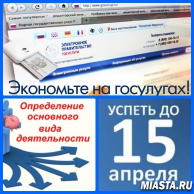 Подтверждение основного вида экономической деятельности