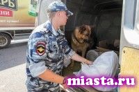 Торговля под прикрытием