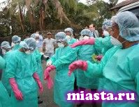 Лихорадка XXI века. Чем угрожает миру вирус Эбола