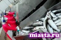 В России резко вырос уровень импорта норвежского лосося из Белоруссии