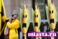 Завтрак с мутантами