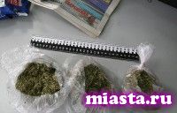 ФСКН объявила об окончании массовых отравлений спайсом