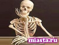 Румынские школьники изучают биологию по скелету директора