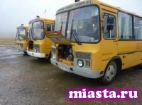 За нарушение правил перевозки детей в автобусах может быть введено наказание