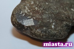 Российские ученые нашли камень с микрочипом возрастом 250 млн лет
