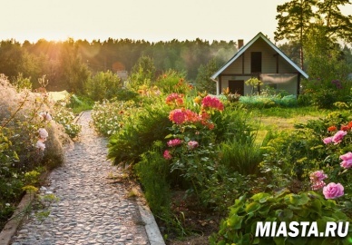 Новый закон призван навести порядок в садах и огородах