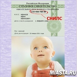 СНИЛС в день обращения