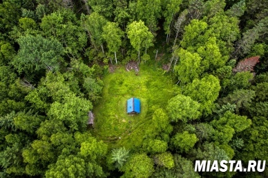 Закон о «лесной амнистии»: что надо знать собственнику