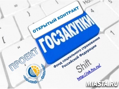Новый проект  ФСС «Открытый контракт». В чем его особенности?