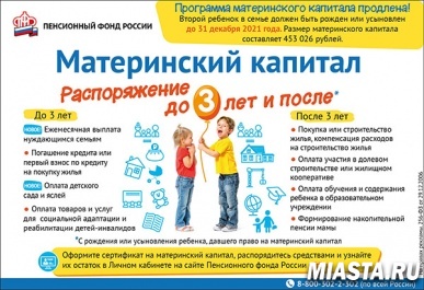 Как направить материнский капитал на социальную адаптацию и интеграцию в общество детей-инвалидов