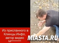 Клинцы, Брянская область, неизвестный напал на старушку