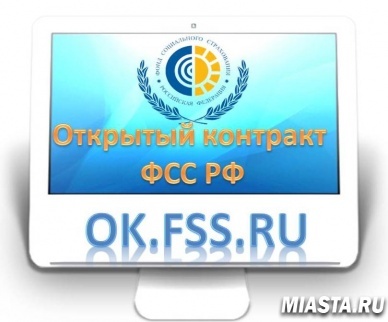 Куда тратятся деньги ФСС