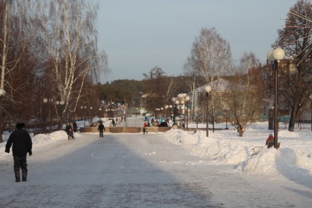 Аллея зимой.