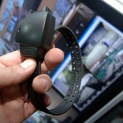 отбывших наказание педофилов могут обязать носить устройство контроля передвижения