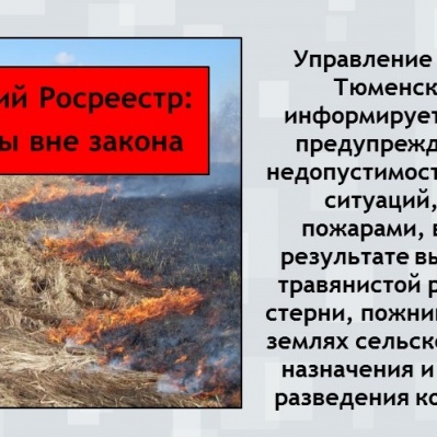 Тюменский Росреестр: пал травы вне закона