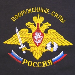 После реорганизации в России останутся три вида и два рода войск