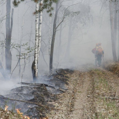 Работники, пострадавшие при тушении лесных пожаров на контроле у ФСС