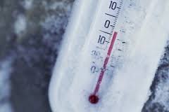 Аномально теплая погода для декабря продержится еще неделю