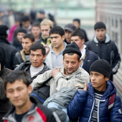 Правительство установило квоты на иностранных работников на 2015 год