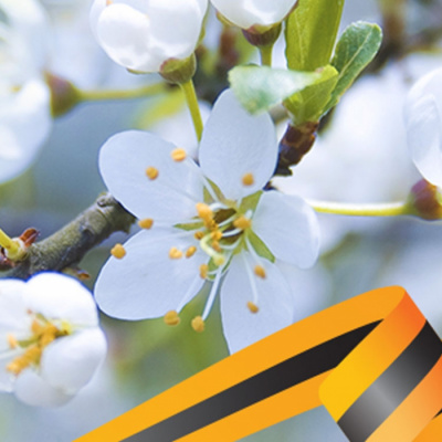 Филиал ППК «Роскадастр» по Тюменской области: график работы в праздничные дни мая