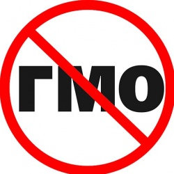 В России ввели штрафы за нарушение маркировки продуктов с ГМО
