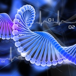 Ученые: большинство видов рака - дело случая