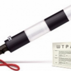 В разных регионах России могут быть введены разные штрафы