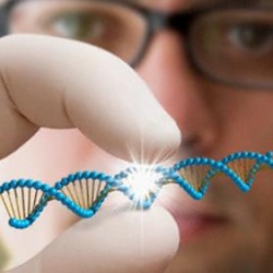 В Тюмени с помощью анализа ДНК определяют предрасположенность к раку