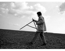 В Госдуме предлагают бесплатно раздать гражданам по гектару земли