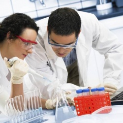 Ученые из ДВФУ разработали лекарство для борьбы с болезнью Альцгеймера