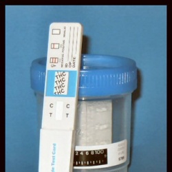 Водителей автобусов и полицейских обязали сдавать тесты на наркотики