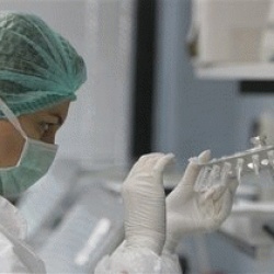 Роспотребнадзор не советует направляться в Индию и Китай