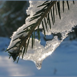 Февраль в Тюмени будет не по-зимнему теплым