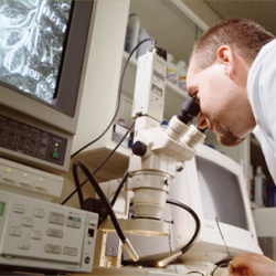 Тюменские ученые получили новый патент