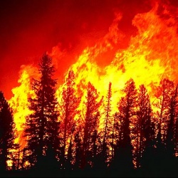 Количество природных катастроф в России удвоится