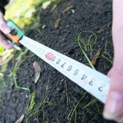 Многодетным семьям с инвалидами земля будет предоставляться быстрее