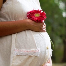 Работодатель не сможет увольнять ушедших в декрет сотрудниц