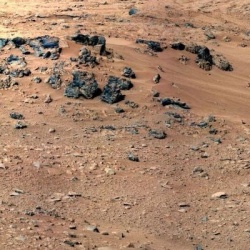 На Марсе обнаружили череп травоядного динозавра