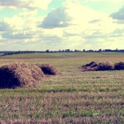 Как изменится жизнь россиян в марте: 6 вещей, о которых стоит знать.