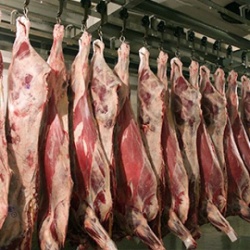 Тюмень может заняться прямыми поставками мяса на север