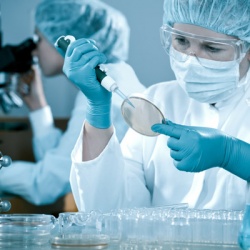 В Томске создадут полимеры для восстановления органов