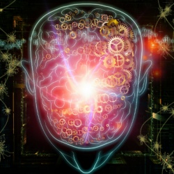 В мозге человека обнаружен уникальный ген