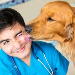 Ученые: Поцелуи с собаками укрепляют иммунитет