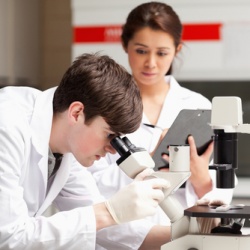 Алтайские ученые разработали препарат от старости